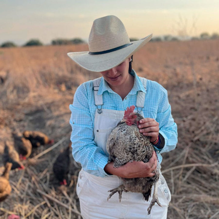 DILMUN Visita a rancho de Tierra de Todos- 15 de agosto