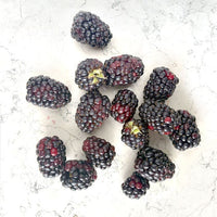 DILMUN Zarzamora domo 170g