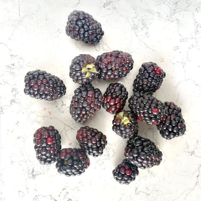 DILMUN Zarzamora domo 170g