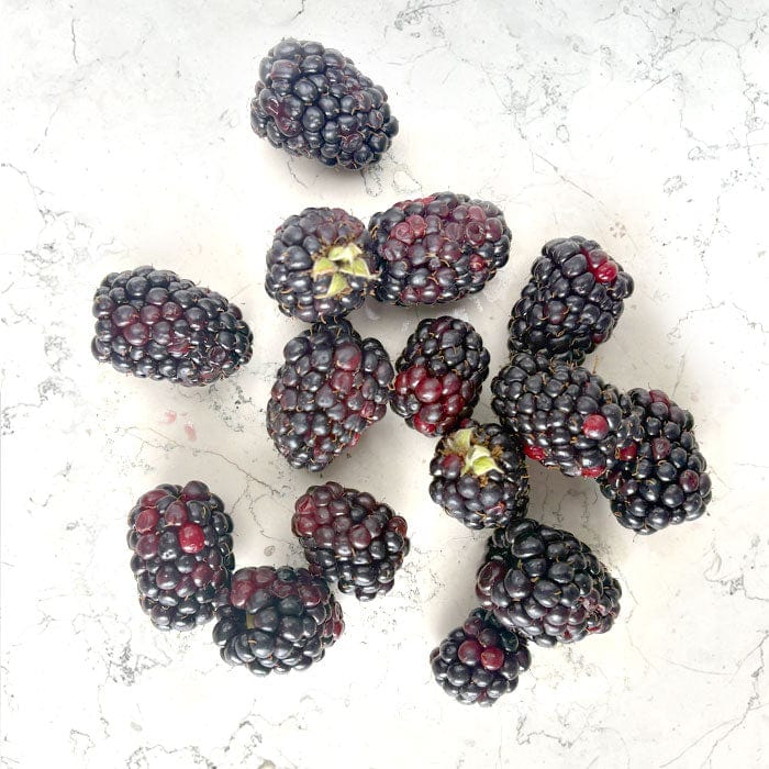 DILMUN Zarzamora domo 170g