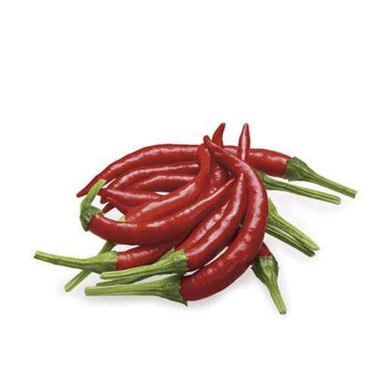 DILMUN Chile de árbol fresco 250 g